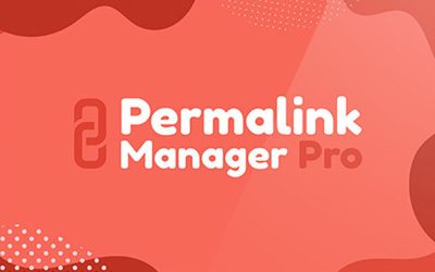 [汉化]  Permalink Manager Pro 永久链接结构管理器插件 v2.2.20