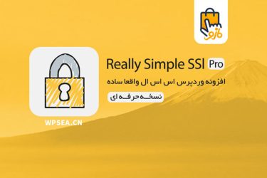 [汉化] Really Simple SSL Pro 快速配置全站https专业版插件 v5.4.0 已激活