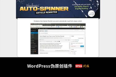 [已激活] WordPress Auto Spinner 内容伪原创插件 v3.13.1