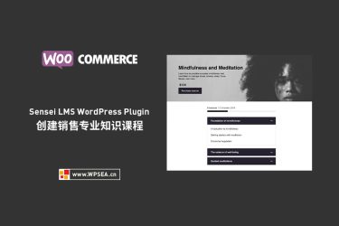[汉化] Sensei LMS WordPress Plugin 创建销售专业知识课程 v4.7.0.1.7.0