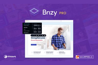 Brizy Pro 构建器插件的扩展功能WordPress中文版插件