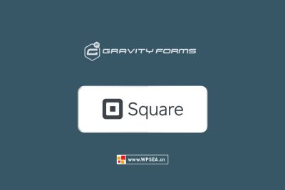 [汉化] Gravity Forms Square 集成在线支付所需工具 v1.8.1