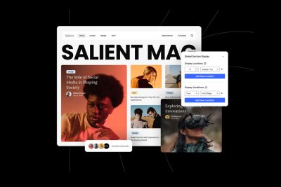[汉化] Salient v16.0.5 创意多用途和 WooCommerce 主题
