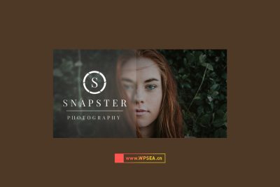[汉化] Snapster v1.1.1 摄影画廊相册博客网站WordPress主题